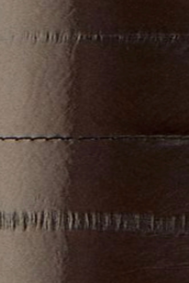 Genuine Eel