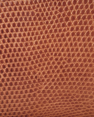 maple brown lizard material texture